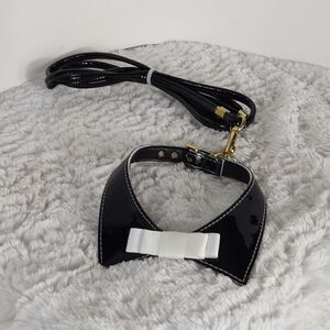 Dog Collar & Leash 12
